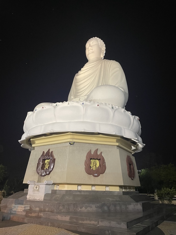 The Big Buddha at the back of the Long Son Pagoda, and the view back over the city 