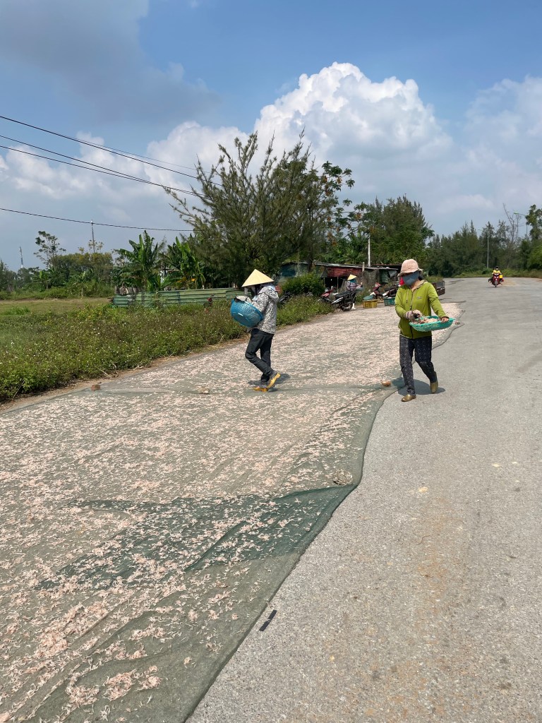 Baby shrimp being dried at the side of the road​ in Dien Chau, Vietnam 