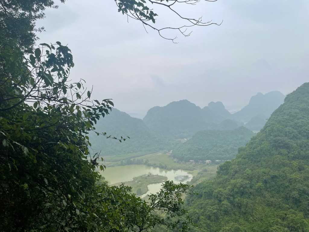 The Paradise floor of Vai Gioi Cave, Nimh Binh