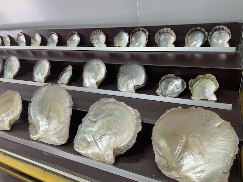 Oyster shells at the Oyster farm, Halong Bay, Vietnam