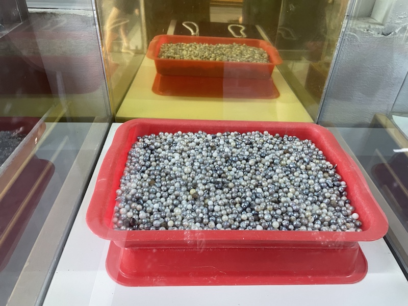 Pearls at the Oyster farm, Halong Bay, Vietnam
