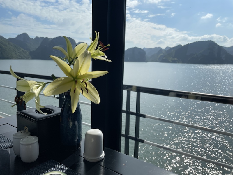Our 5 course lunch on the Rosy Cruise ship (Halong Bay, Vietnam) was beautifully presented, and the restaurant had lovely views over the water 