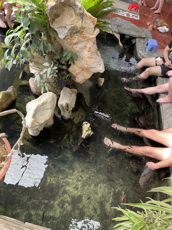 The fish massage on Cat Ba island 