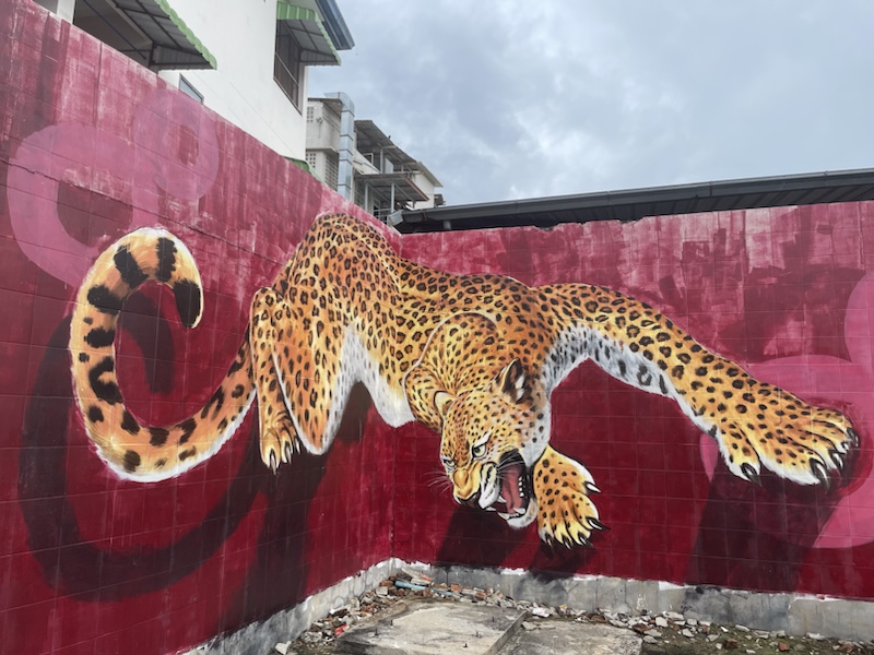 Street art in Phitsanulok​, Northern Thailand 