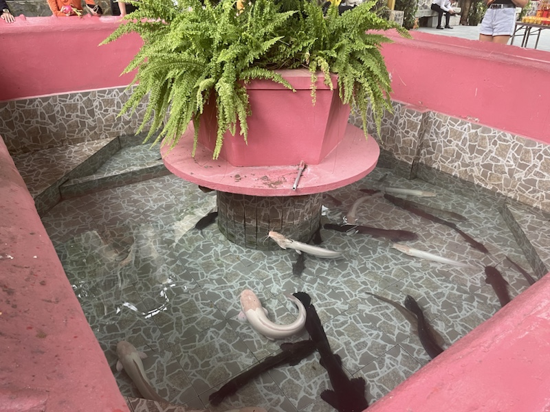 The Jade Emperor Pagoda in Ho Chi Minh City (Saigon), Vietnam 