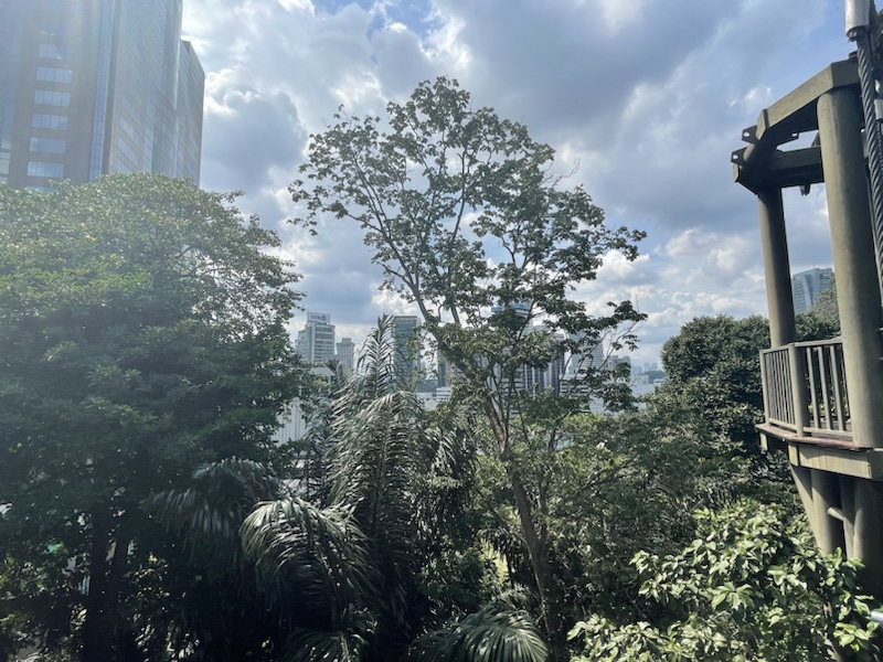 The canopy walks in the KL Forest Eco Park, Kuala Lumpur, Malaysia, feel very close to the skyscrapers 
