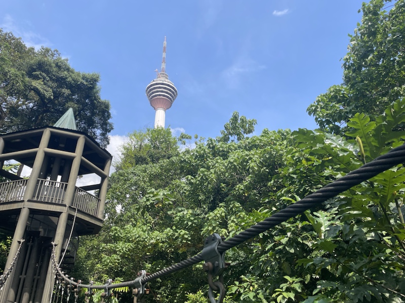 The canopy walks in the KL Forest Eco Park, Kuala Lumpur, Malaysia, feel very close to the skyscrapers 