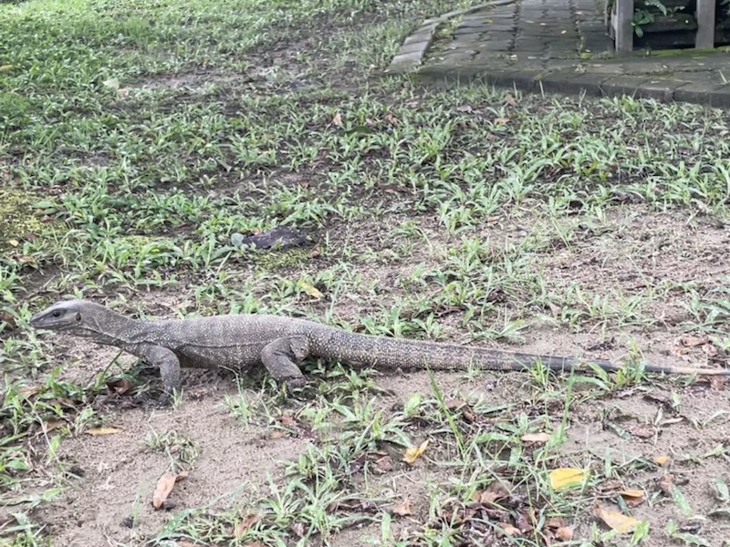The massive lizard in the ASEAN Sculpture Garden, Kuala Lumpur, Malaysia 