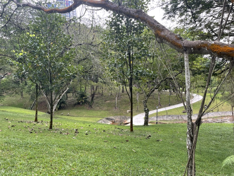 The Botanical Gardens in Kuala Lumpar, Malaysia 