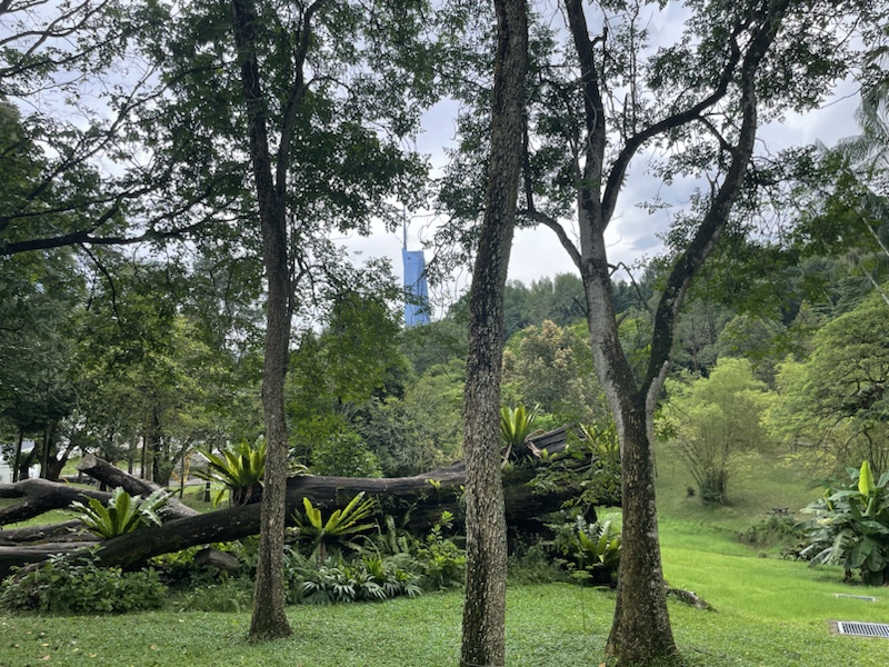 The Botanical Gardens in Kuala Lumpar, Malaysia 