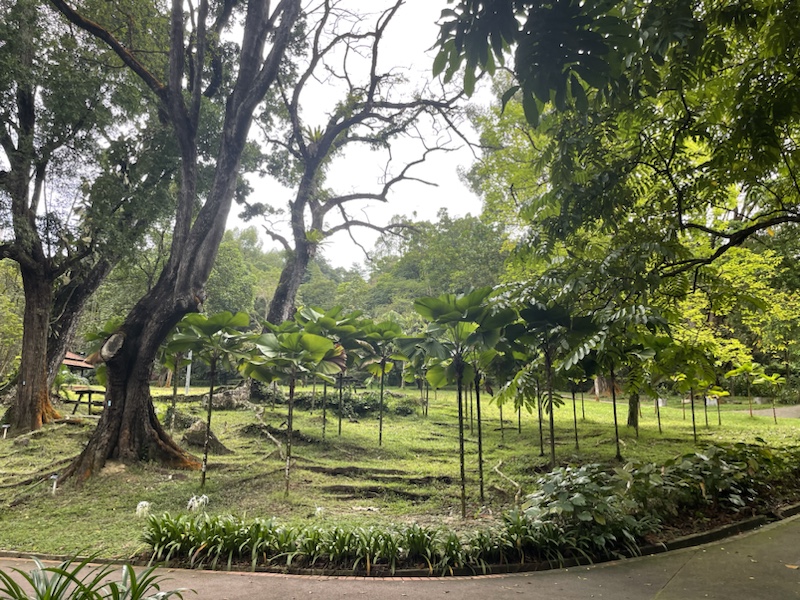 The Botanical Gardens in Kuala Lumpar, Malaysia 
