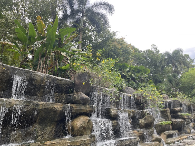 The Botanical Gardens in Kuala Lumpar, Malaysia 