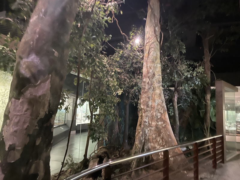 The National Museum, Kuala Lumpur, which is all about the history and culture of Malaysia