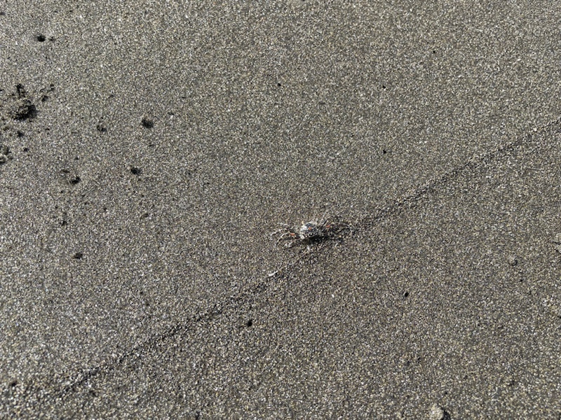 The unusual but pretty black sand at Keramas Beach, Bali