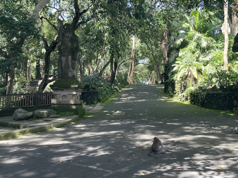 The Sacred Monkey Forest Sanctuary in Ubud, Bali, Indonesia 