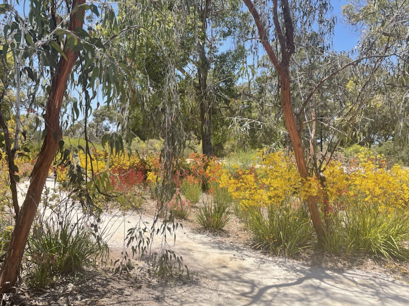 The beautiful Botanic Gardens at Kings Park, Perth, Western Australia
