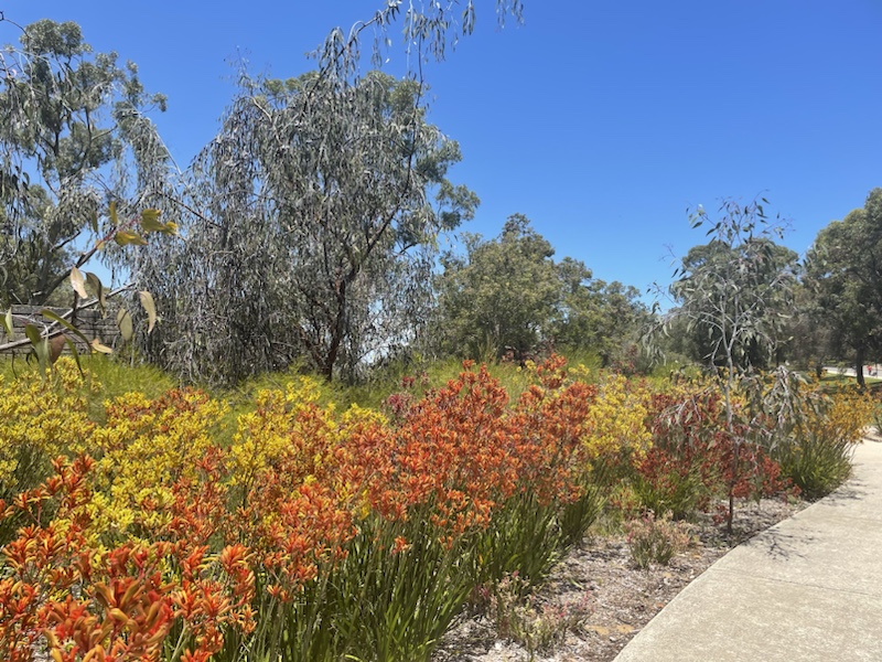 The beautiful Botanic Gardens at Kings Park, Perth, Western Australia