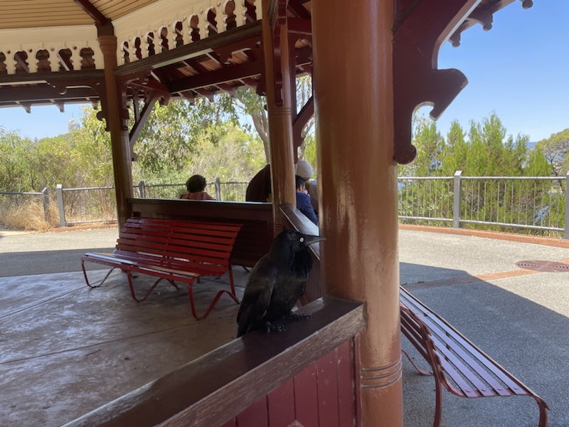 Mount Eliza Lookout in Kings Park, Perth, Western Australia, has some shaded seating and lovely views over the bay