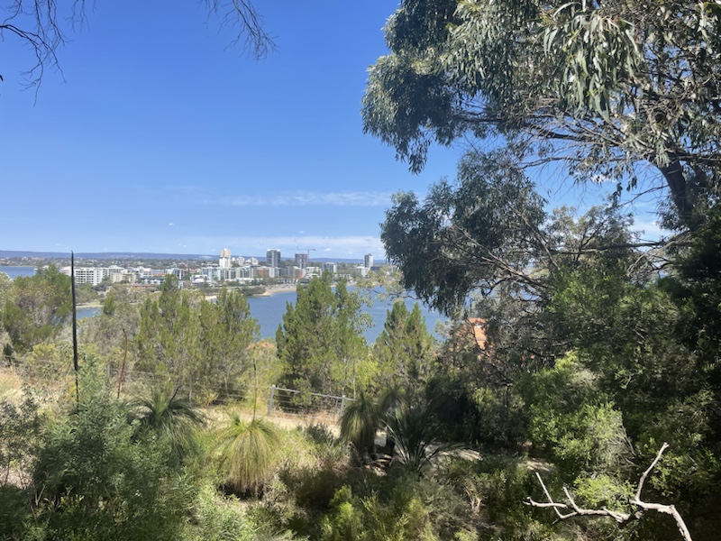 The elevated Lotterywest Federation Walkway Glass Arched Bridge in Kings Park, Perth, Western Australia