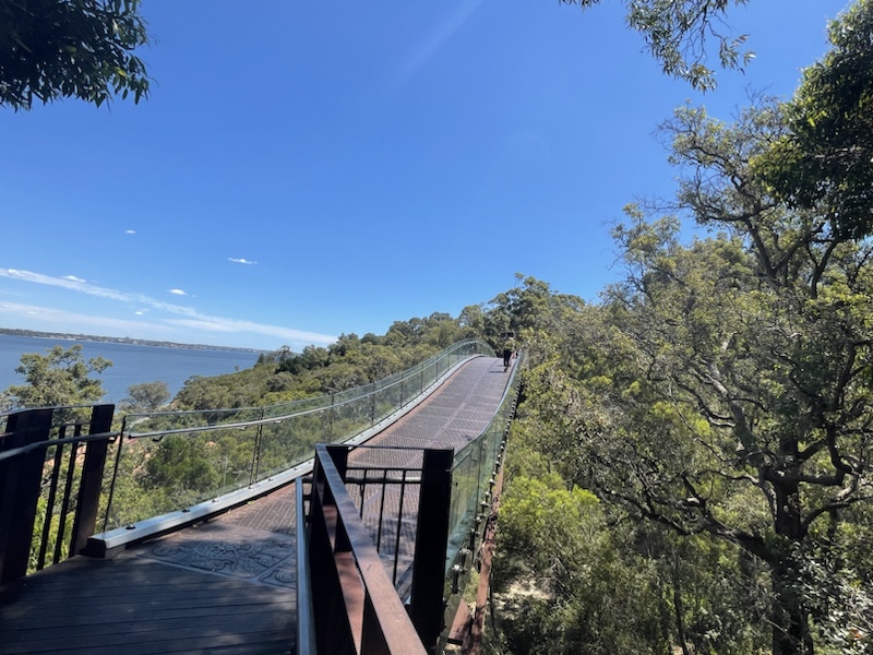 The elevated Lotterywest Federation Walkway Glass Arched Bridge in Kings Park, Perth, Western Australia