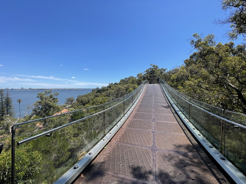 The elevated Lotterywest Federation Walkway Glass Arched Bridge in Kings Park, Perth, Western Australia