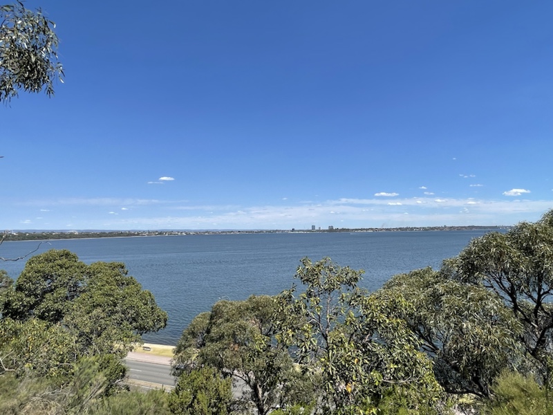 Gorgeous views from the Dryandra Lookout in Kings Park