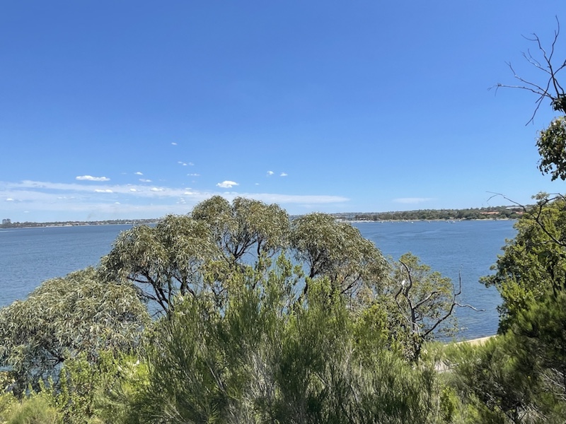 Gorgeous views from the Dryandra Lookout in Kings Park