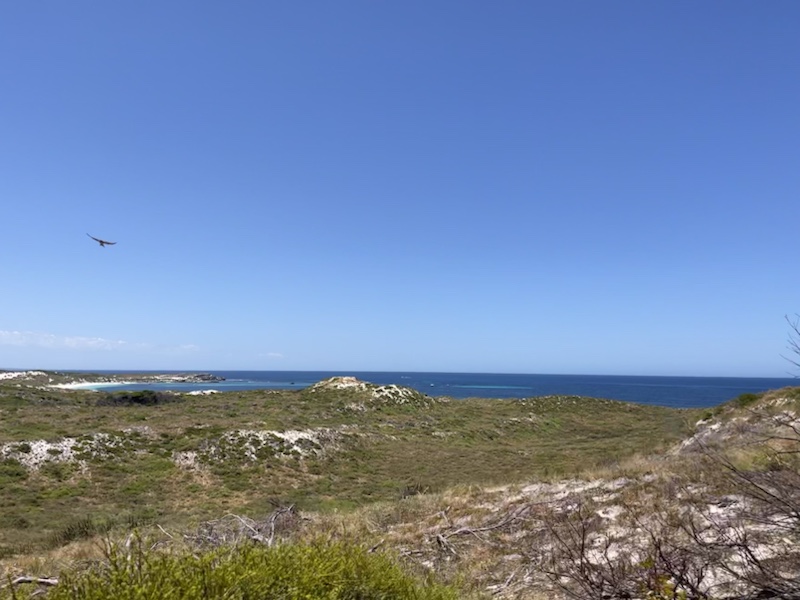 Beautiful views over Rottnest (in Perth, Western Australia) on the train to Oliver Hill Battery