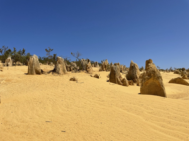 The Pinnacles dessert in Western Australia is absolutely spectacular 