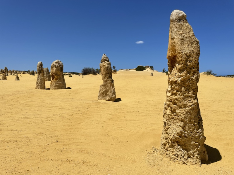 The Pinnacles dessert in Western Australia is absolutely spectacular 
