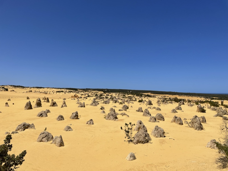 The Pinnacles dessert in Western Australia is absolutely spectacular 