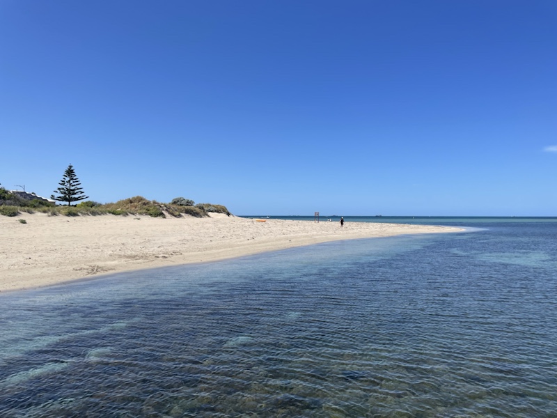 Penguin Island, Rockingham, Western Australia, is very tranquil and beautiful 