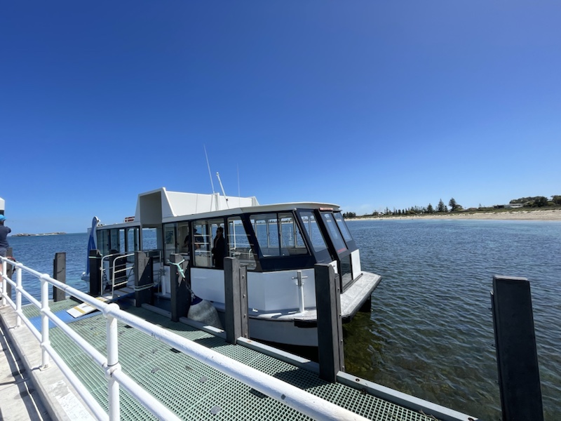 The ferry to Penguin Island, Rockingham, Western Australia takes just 10 minutes