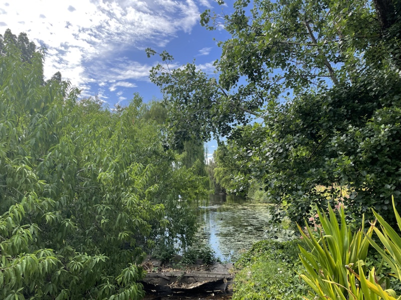 Adelaide Botanic Garden (in Adelaide, South Australia) is a lovely place to spend a relaxing afternoon