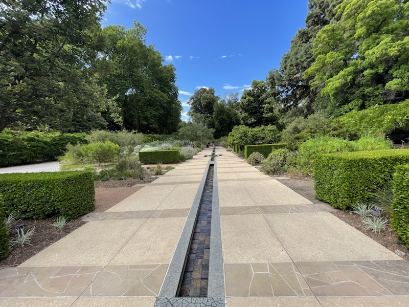 Adelaide Botanic Garden (in Adelaide, South Australia) is a lovely place to spend a relaxing afternoon
