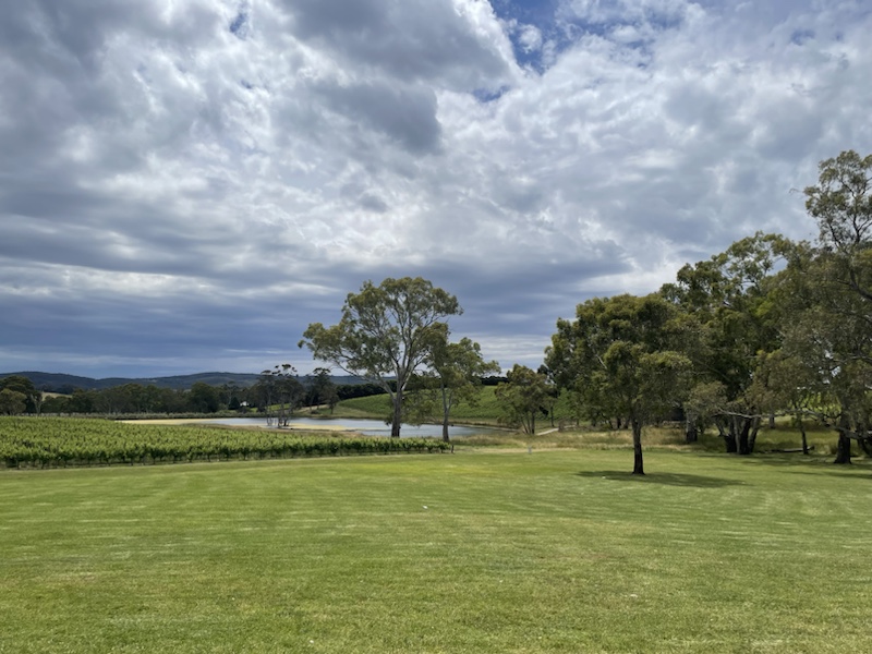 Our wine tasting at Nepenthe Cellar Door, Adelaide Hills, South Australia, overlooked the fields below