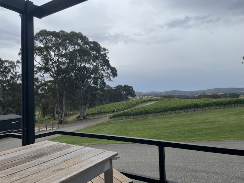 Our wine tasting at Nepenthe Cellar Door, Adelaide Hills, South Australia, overlooked the fields below