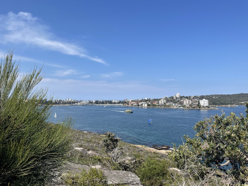 The Manly to Spit coastal walk (in Sydney, NSW, Australia) is a beautiful route to walk along ​