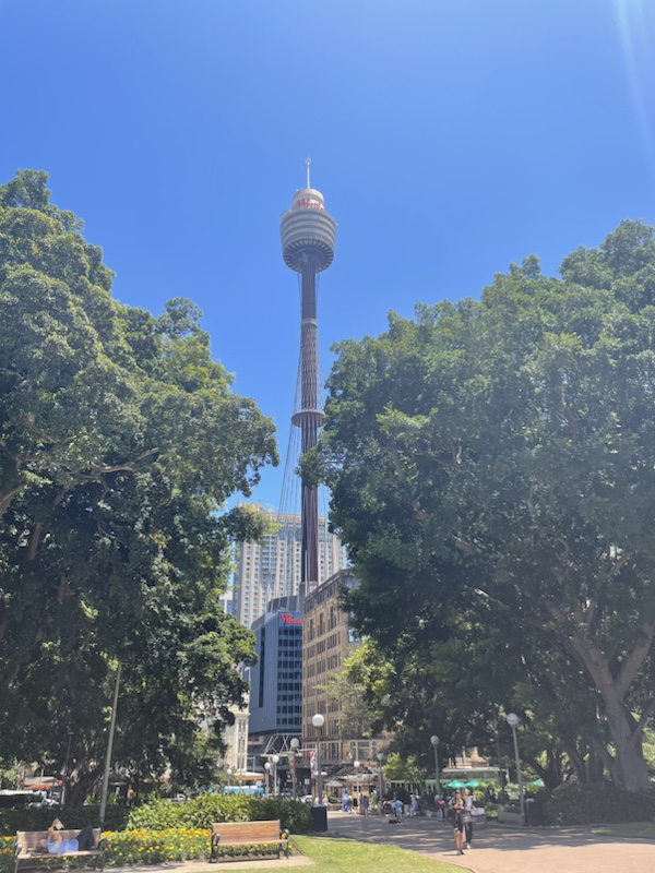 Hyde Park in the centre of Sydney, NSW, Australia 