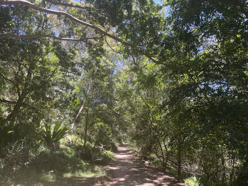Echo park, where the two creeks track begins ​in Sydney, NSW, Australia 