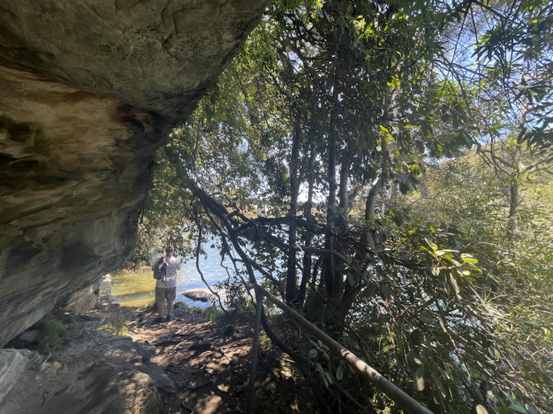 The Two Creeks Track in Sydney, NSW, Australia is a beautiful and very scenic trail