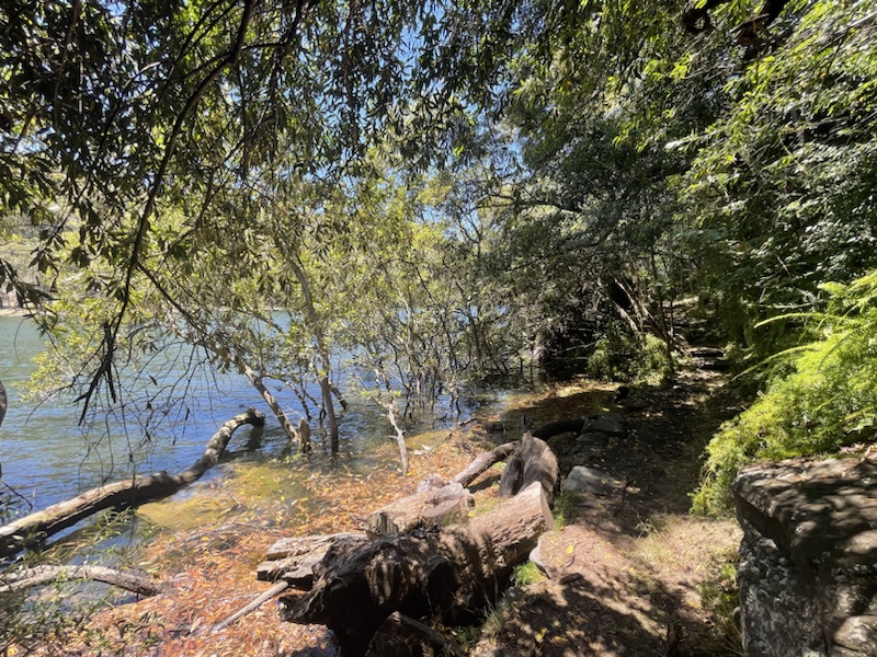 The Two Creeks Track in Sydney, NSW, Australia is a beautiful and very scenic trail