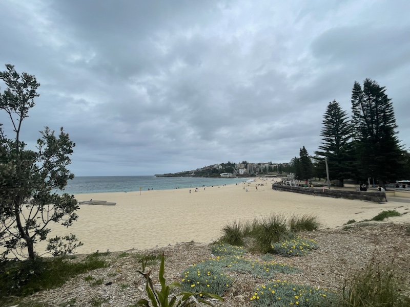 The Bondi to Coogee coastal​ walk (Sydney, NSW, Australia) goes past several small and beautiful coves