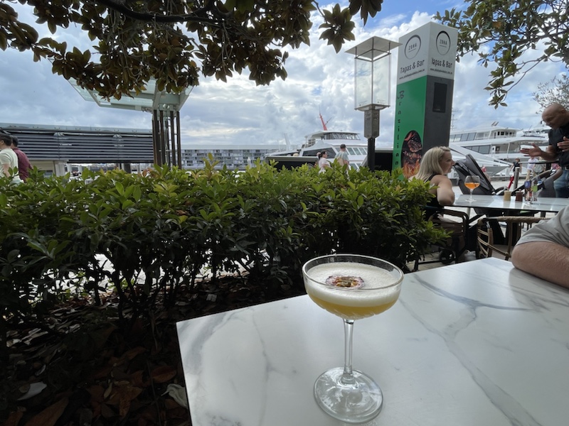 Happy hour drinks at Zoha Food and Wine, Darling Harbour, Sydney, NSW, Australia with a nice view over the harbour 