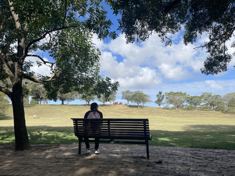 Sydney Park in Newtown, Sydney, NSW, Australia is ​a lovely place to walk around and relax on a sunny afternoon