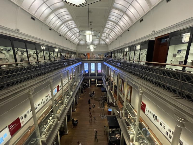 The Australian Museum in Sydney, NSW, Australia is a little like the Natural History Museum in London