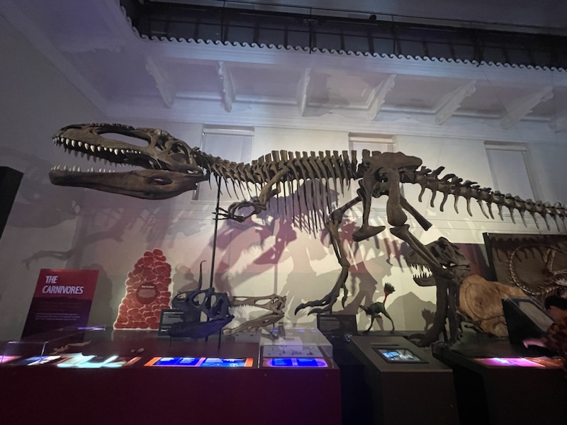 The Australian Museum in Sydney, NSW, Australia is a little like the Natural History Museum in London