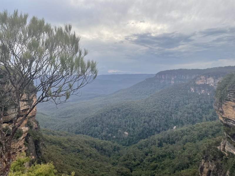 It's an easy 30 minute walk (though with a lot of steps) to Fletchers Lookout, Wentworth Falls​ in the Blue Mountains, near Sydney, NSW, Australia 