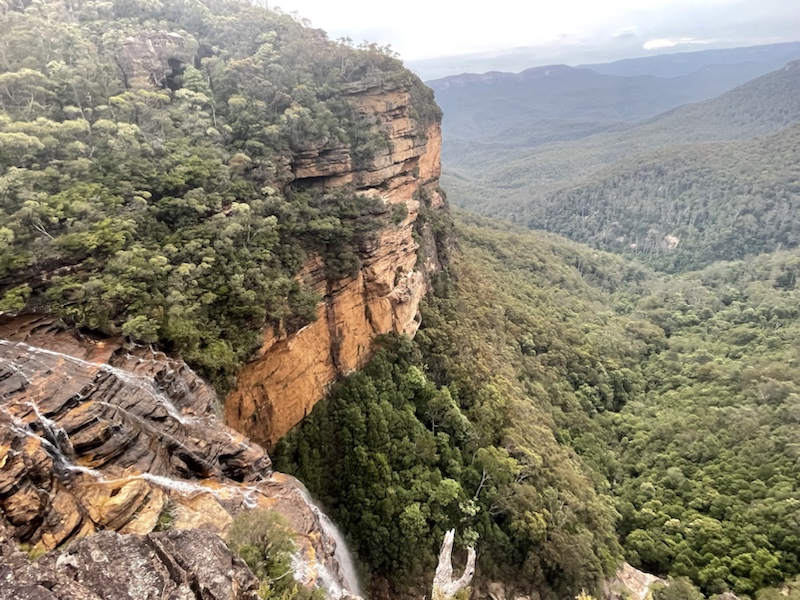 It's an easy 30 minute walk (though with a lot of steps) to Fletchers Lookout, Wentworth Falls​ in the Blue Mountains, near Sydney, NSW, Australia 