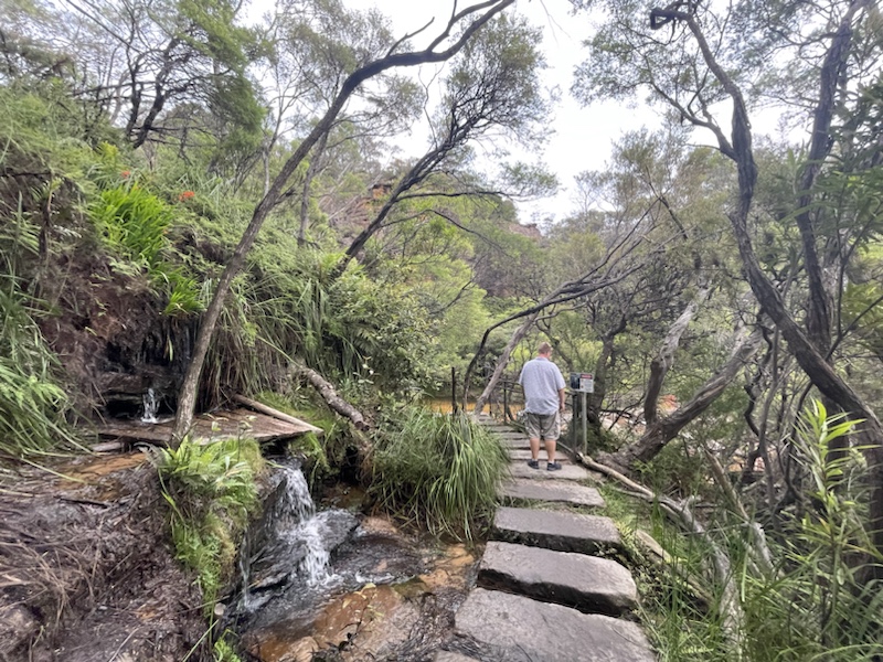 We walked to the top of Wentworth Falls​ in the Blue Mountains, near Sydney, NSW, Australia 